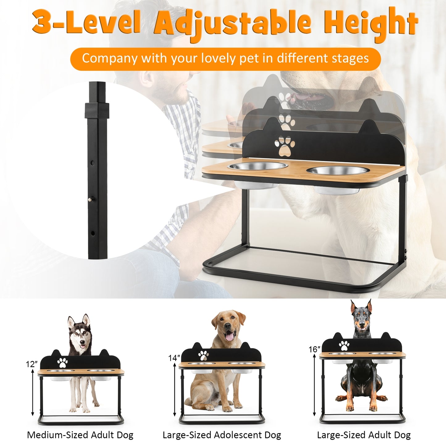 Height Adjustable Dog Bowl Stand with 2 Stainless Steel Bowls