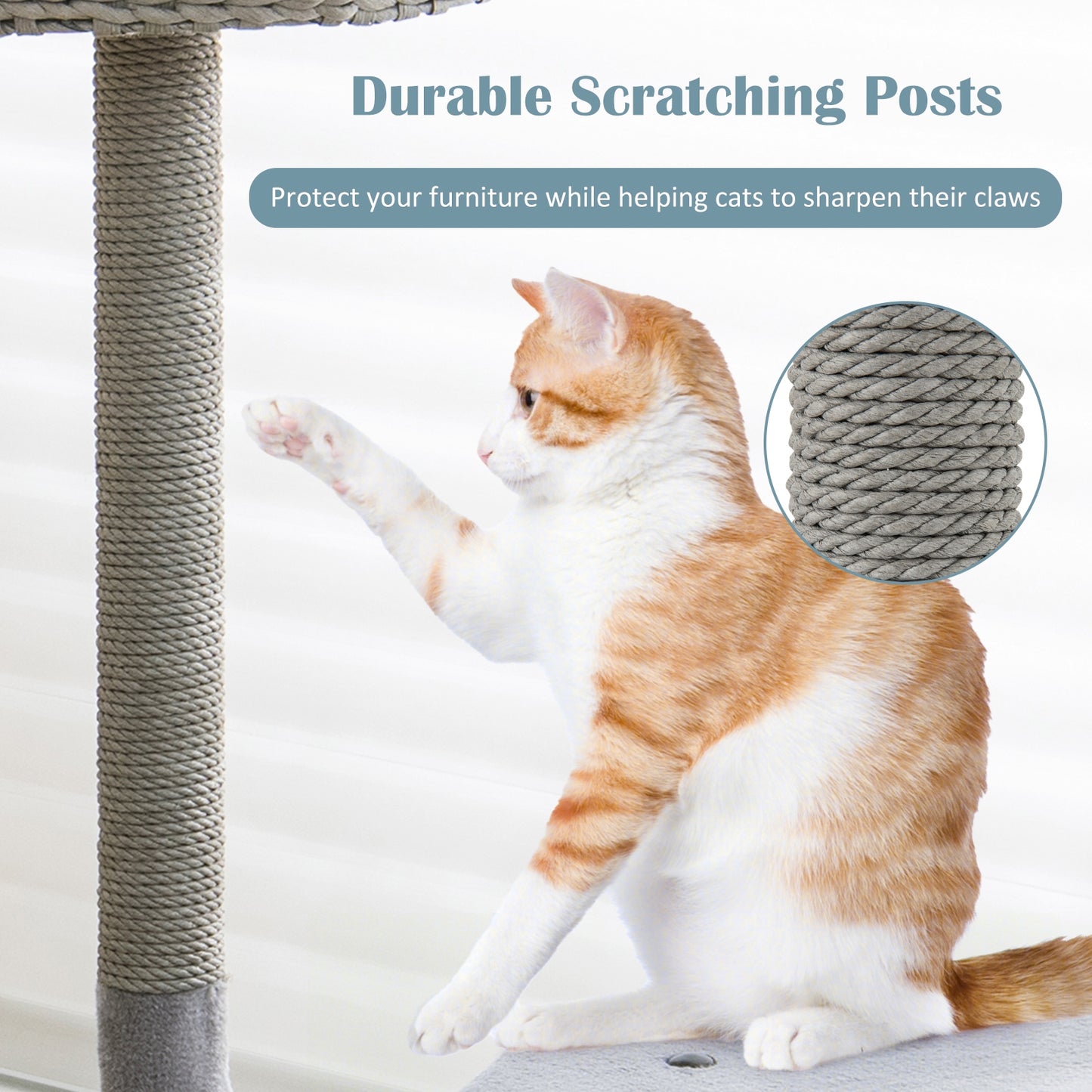 The Serenity - Cat Tower - Curved Metal Frame